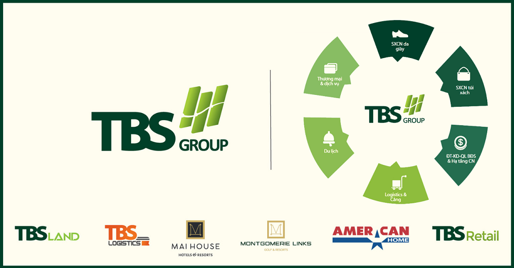 Các lĩnh vực kinh doanh của TBS Group