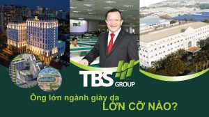 TBS Group lớn cỡ nào